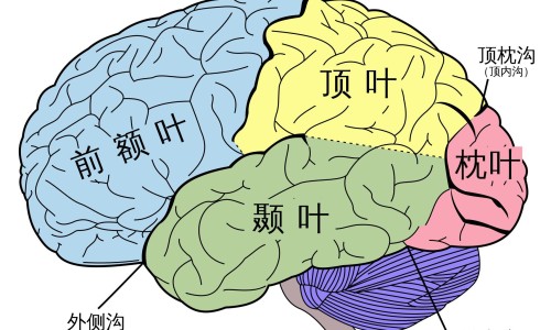 日式早餐食谱大全-权威日式营养早餐图片大全高清平台,分享专业日式早餐最简单四种知识_日式营养早餐图片大全网